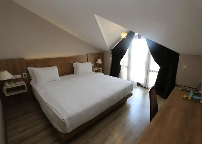 Anemon Trabzon Hotel 4*